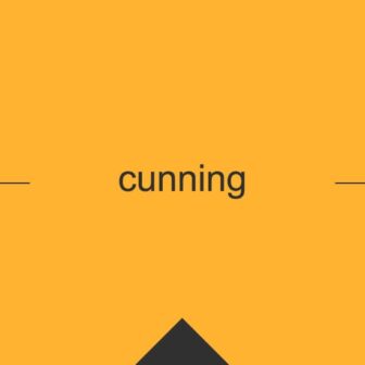 ［英単語］cunning の意味・使い方・発音